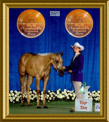 2001 PHBA World Show Tulsa, OK 5th in Yearling Halter