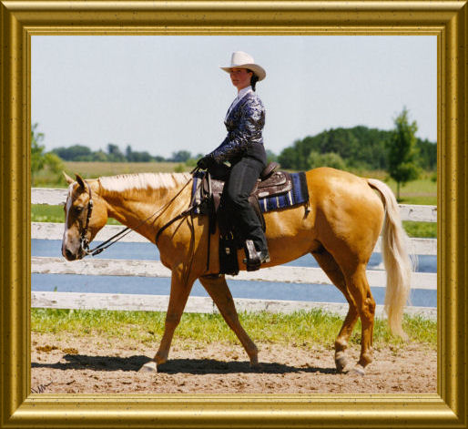 1995 4-H Show County Fair