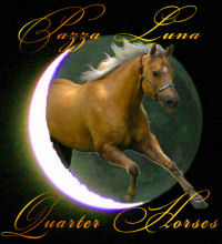 Pazza Luna Quarter Horses